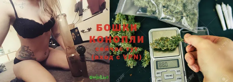 Марихуана SATIVA & INDICA  Белая Холуница 